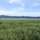 신성리생태공원 이미지