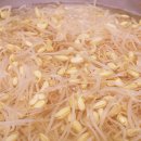 전기 밥솥으로... 불고기 콩나물밥 만들기 이미지