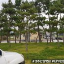 은어화장실 이미지