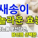 새송이버섯 효능 및 곰팡이 보관법 이미지