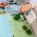 달팽이어린이공원 이미지