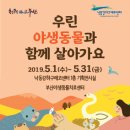 부산야생동물치료센터 이미지