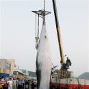 동진사우나 이미지