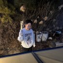 지리산호수리조트 | 구례 펜션 지리산호수리조트 후기 | 구만제 호수뷰 조용한 숙소