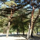 구만동 오토캠핑장 이미지