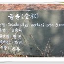 장수농원 이미지