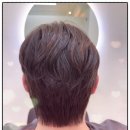 살롱드 봄 헤어 이미지