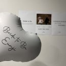 풍영로L | [어프로치하우스] 광주 브라이덜샤워 스튜디오 솔직후기(내돈내산)