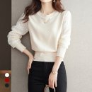 B.S 소프트 이미지