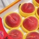 치악산농장 이미지