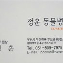 정훈동물병원 이미지