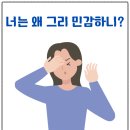 [행복한학교]치유요가 | 너는 왜 이렇게 민감하니—그 말이 상처라서 찾아온 행복학교 치유상담