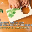 반려식탁 이미지