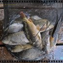 봉재 낚시터 이미지