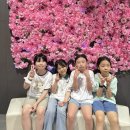 용인대석사명품태권도 이미지