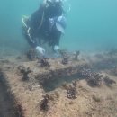 산호학원 이미지