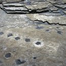 쪽빛나라 이미지