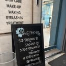 토탈플렌