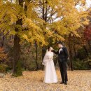 스튜디오담다(주)