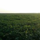 태선농장 이미지