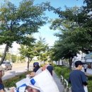 선창담배 이미지