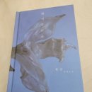 고잔동 850~고잔동 515 주변 | 동에번쩍 서에번쩍 2024 연말(안산-영통)