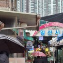 일산시장 이미지