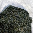 자동차주치의 닥터윤 이미지