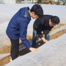 강진반점 이미지