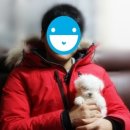 참 조은 훈이네 강아지 이미지