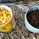 대물낚시 이미지