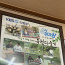 금강올갱이해장국 | [대전] 올갱이를 아낌없이 주는 대전IC 근처 맛집 금강옥천올갱이 올갱이해장국 추천