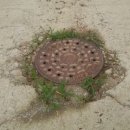 오산 행정사 합동사무소 이미지