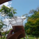 동백 숲속애견랜드 이미지