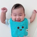 the예쁜얼굴 | 알파베베 유령빕 테리빕 예쁜아기턱받이 6개월아기 사용후기