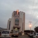 진도개 사랑 이미지