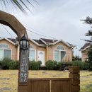 세오니네 이미지