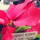 수원-0579 이미지