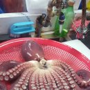 금릉마트 이미지