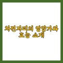 자연식품 이미지