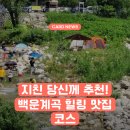 경기도 백운계곡 맛집 후기 백숙 식당 투어 어울림산장 카페!