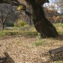 평사리주유소 이미지