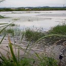 공간 2007 이미지