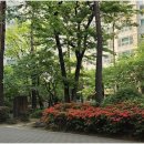 권선자이114공인중개사사무소 | 안전한 전세 거래를 위한 권선자이e편한세상 중개서비스의 특징
