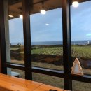 폴레폴레 게스트하우스 이미지