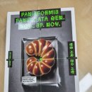 준수농장 | 『빵충 사육 준수 사항』 괴물보다 무서웠던 인간의 욕망