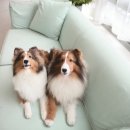 형제크리닉 이미지