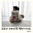 오로라핏 | 배가 편안한 아기기저귀 오로라 러버스핏 팬티 후기
