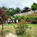 왕피리들꽃하우스 이미지