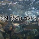 이웃집 bnt뉴스
